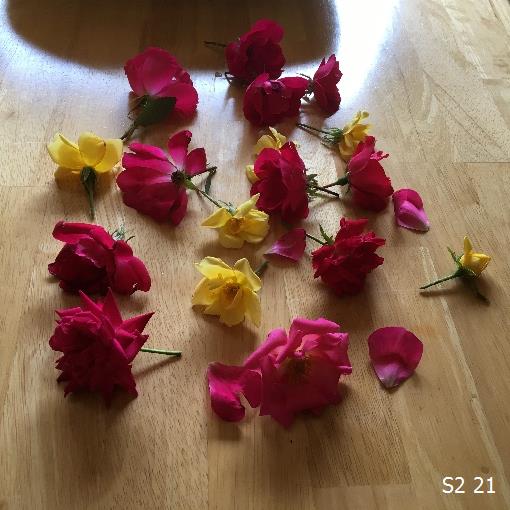 Image 46