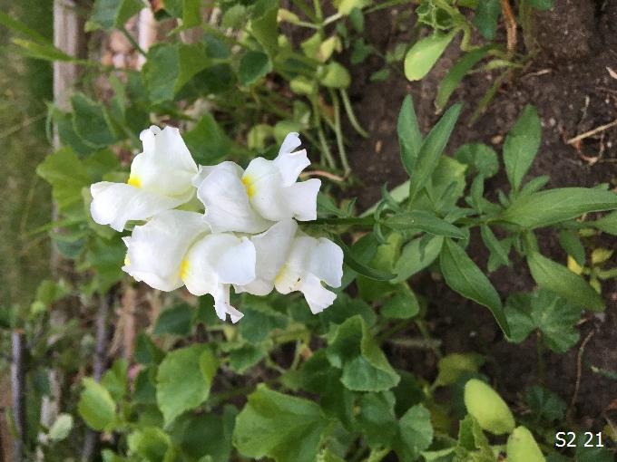 Image 70